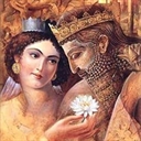 سید مجتبی محمدی
